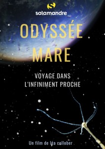 Odyssee-mare_Lea-Collober